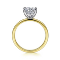 Gabriel & Co | Evelina - 14K White-Yellow Gold Diamond Engagement Ring