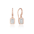 Diamond French Wire Earring - 1ct