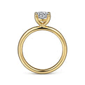 Gabriel & Co. ER15619R4Y4JJJ 14K Yellow Gold Round Solitaire Engagement Ring